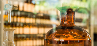 Discover what amber is and what it is used for in perfumery