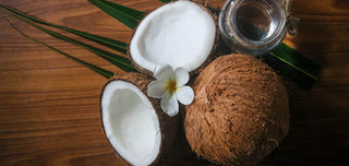 Perfumes with a coconut scent to uplift your day and revitalise you