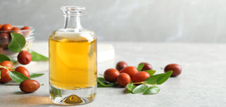 Discover the incredible properties of jojoba oil