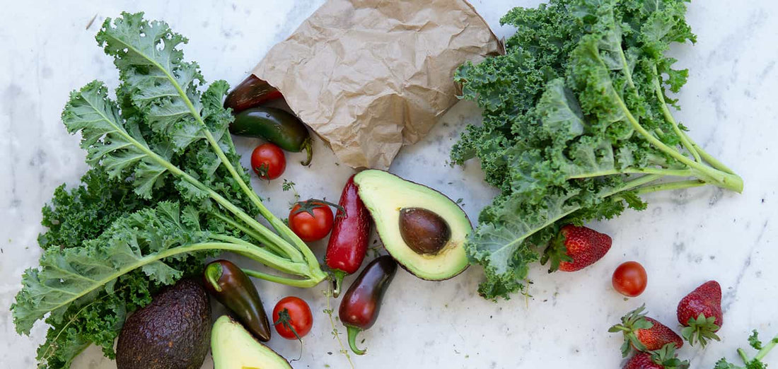 There are very different types of diets depending on the needs of each organism