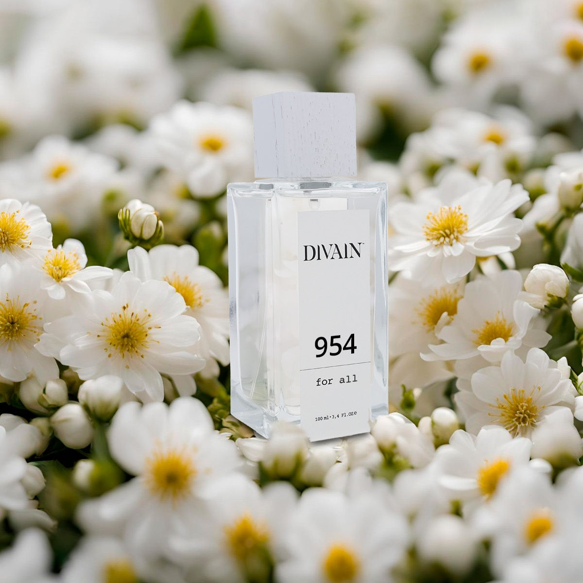 Perfume divain-954 surrounded by its olfactory notes such as marguerite